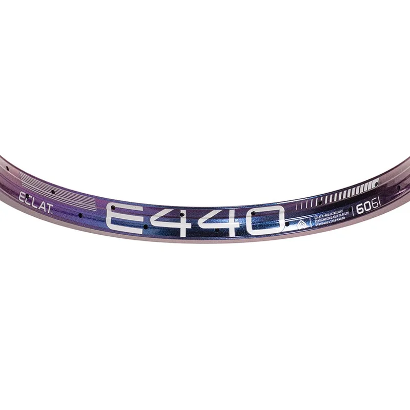 seattleelectricbike4253650