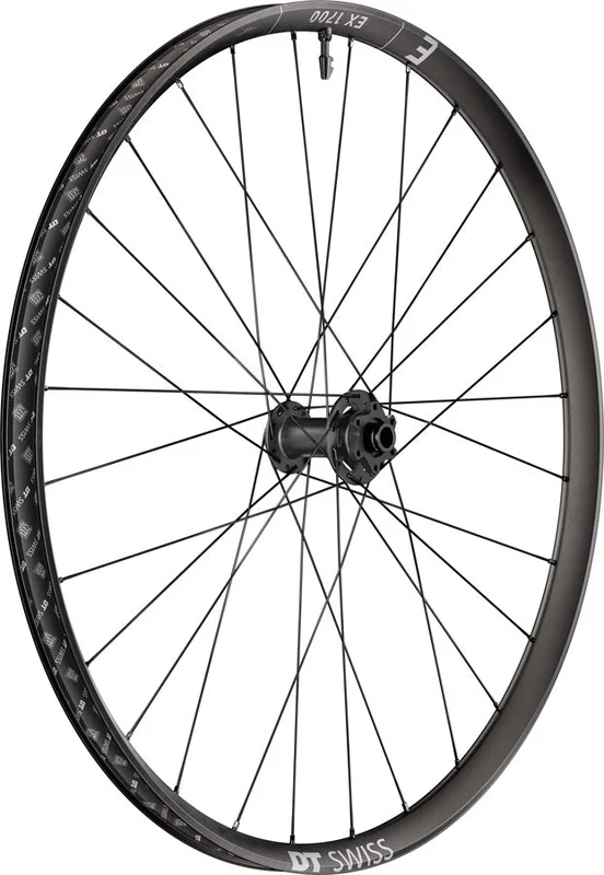 seattleelectricbike4284484