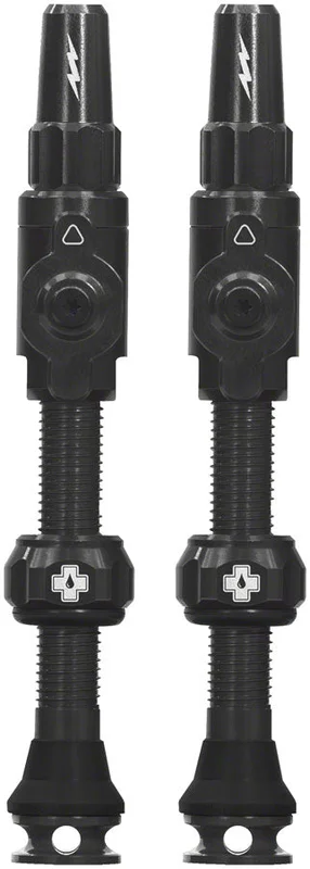 trekbikesflorida1170388
