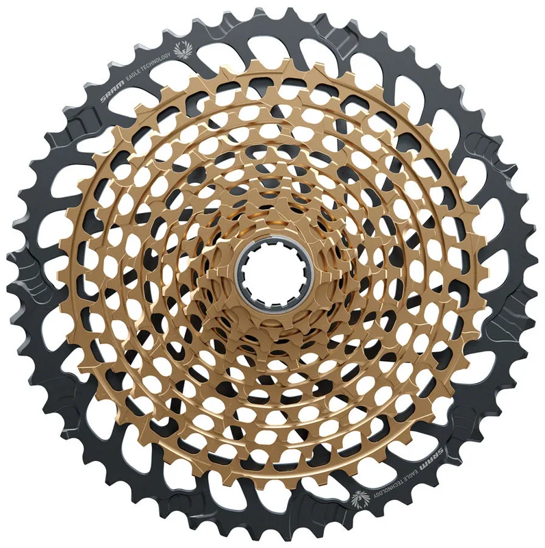 trekbikesflorida2196809