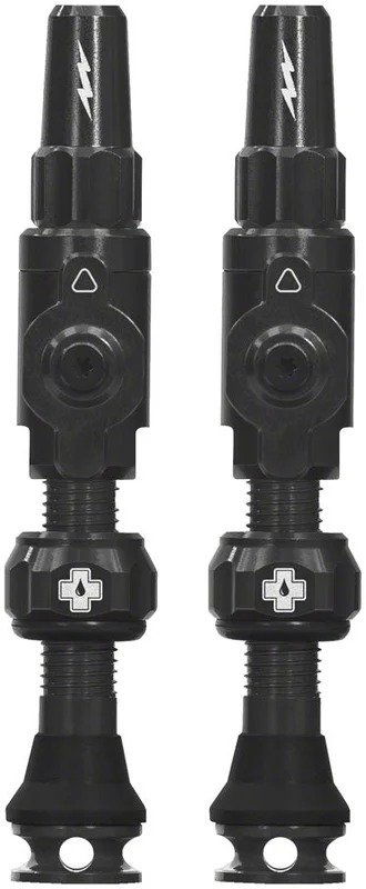 trekbikesflorida3198078